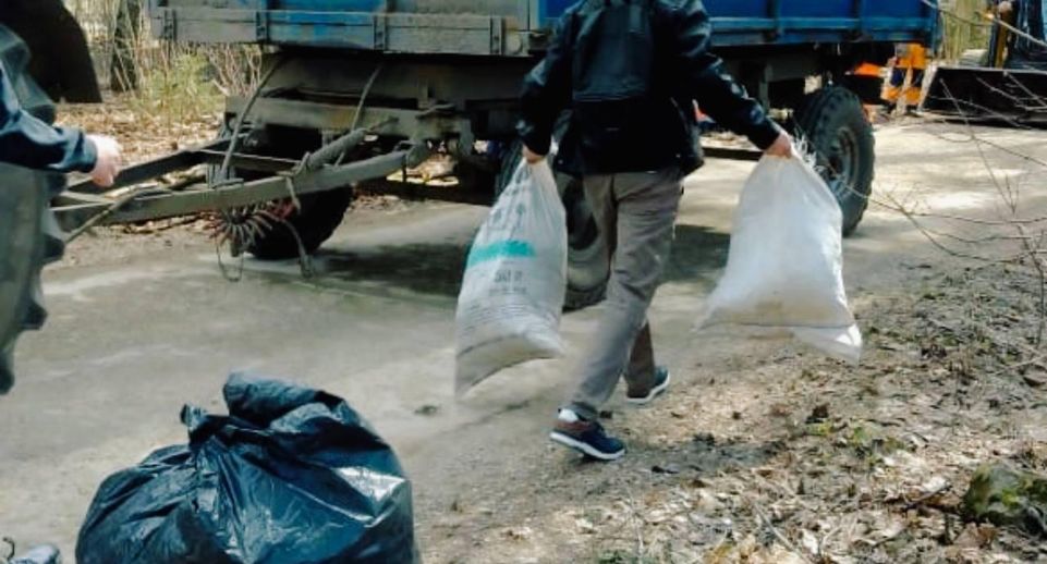 В Звенигороде очистили от мусора 2 га леса