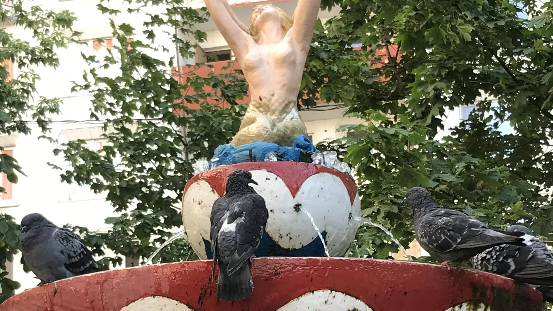 «Загадили все!»: как бороться со стаями голубей в Москве и области