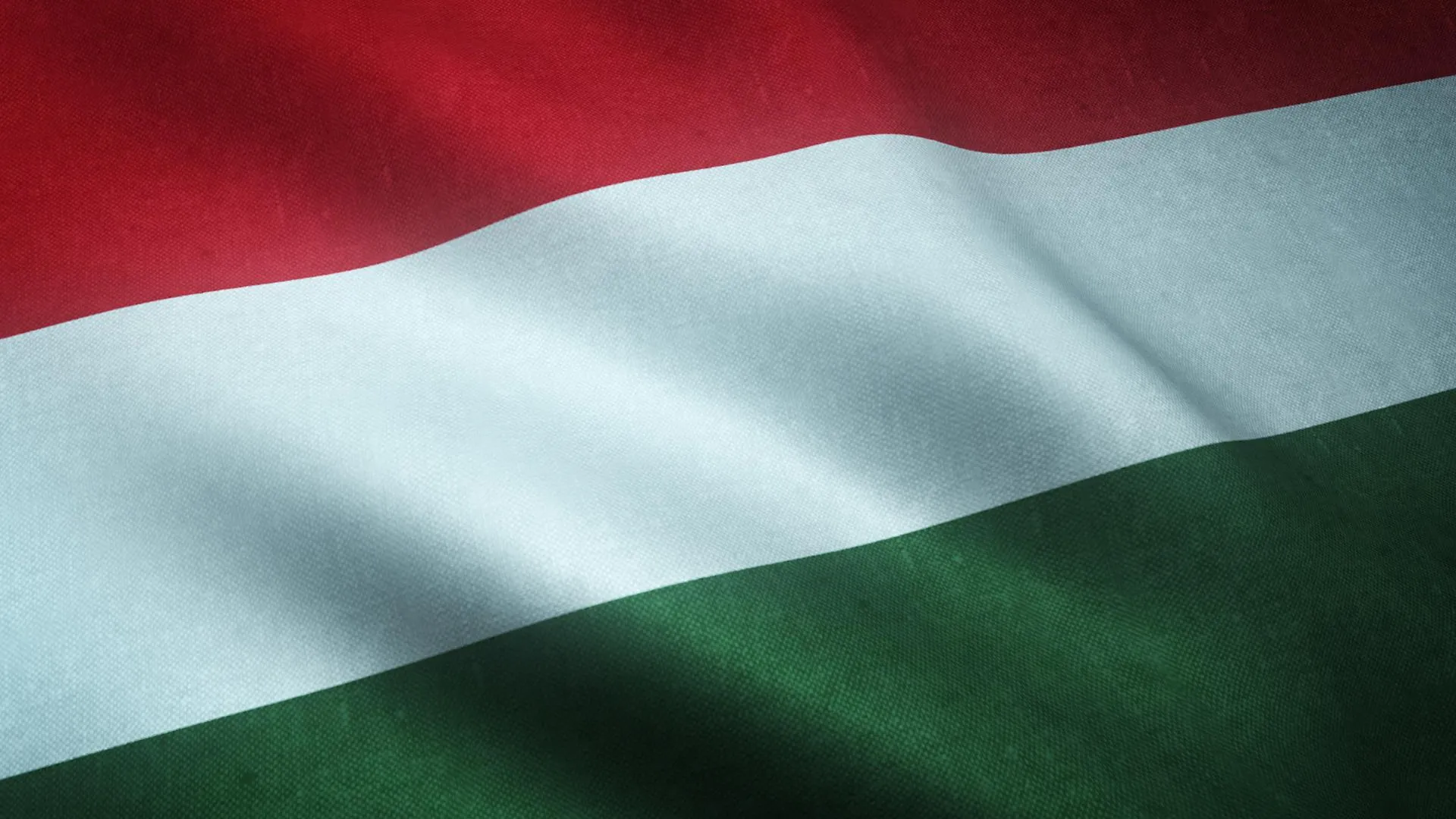 Парламент Венгрии одобрил приостановку участия в ДОВСЕ