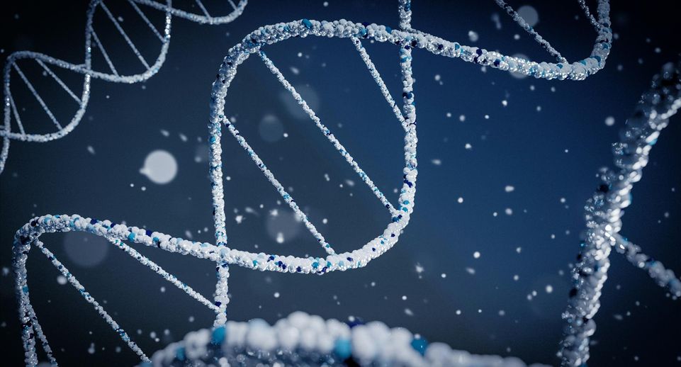 Эксперты рассказали, этично ли вмешиваться в геном человека