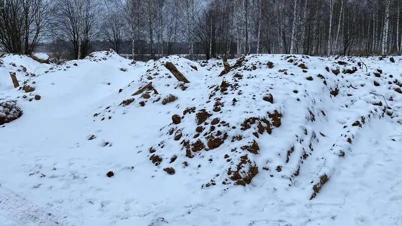 Минэкологии предостерегло арендатора земель в Одинцове о недопустимости размещения отходов