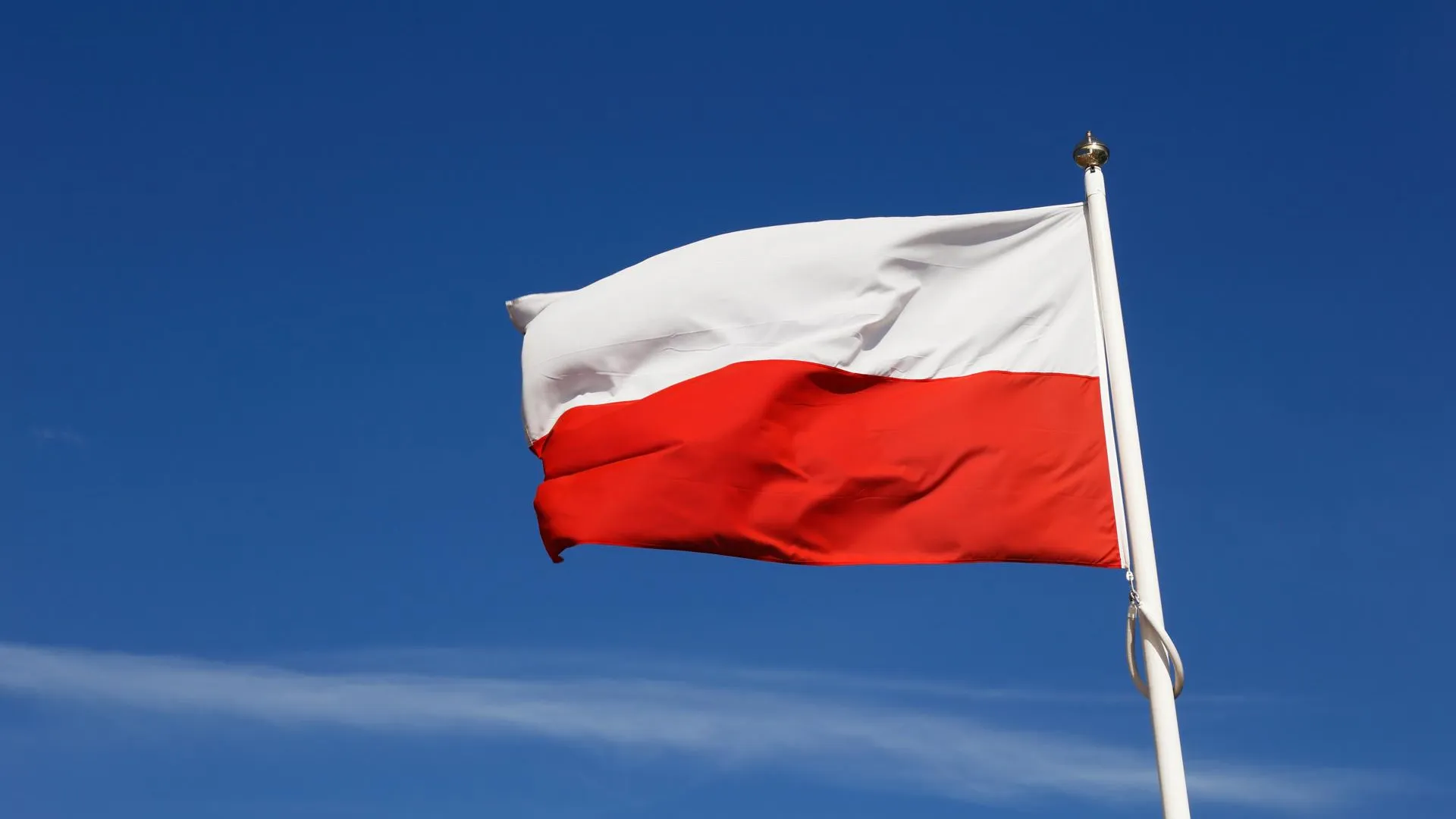 Польские боевики заявили о своем сотрудничестве с РДК*