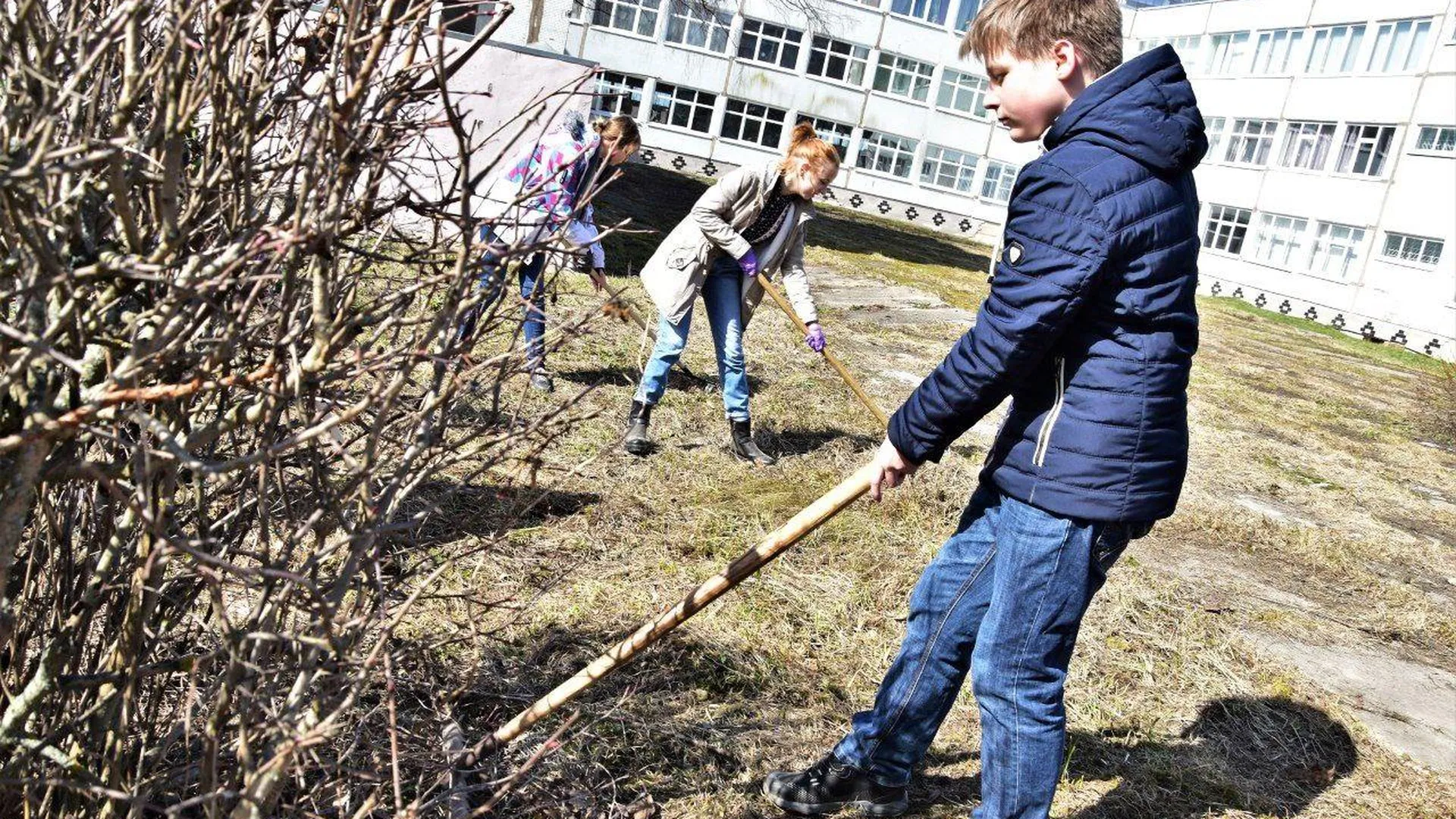 В Люберцах 27 апреля высадят деревья и уберут мемориалы в ходе «Дня добрых дел»
