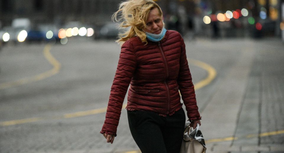 «Желтый» уровень опасности погоды объявили в Московском регионе из-за ветра
