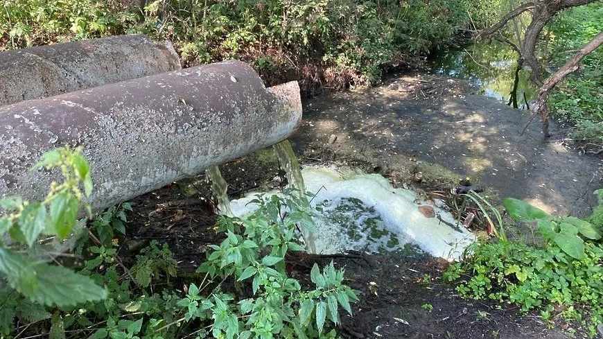 Общественники Подольска обсудили меры по ликвидации последствий загрязнения пруда