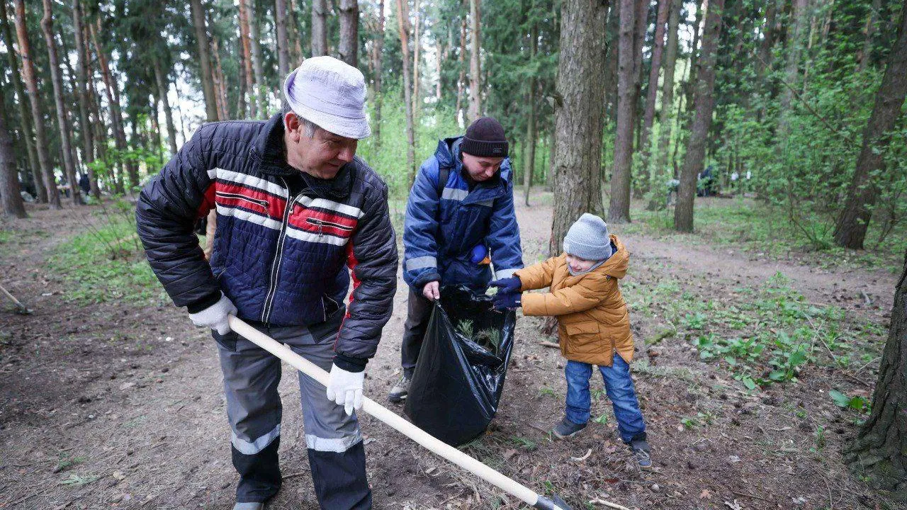 В Подольске на Всероссийском субботнике собрали более 200 кубометров мусора