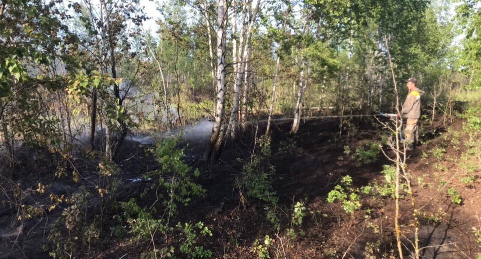 В Луховицах специалисты потушили лесной пожар