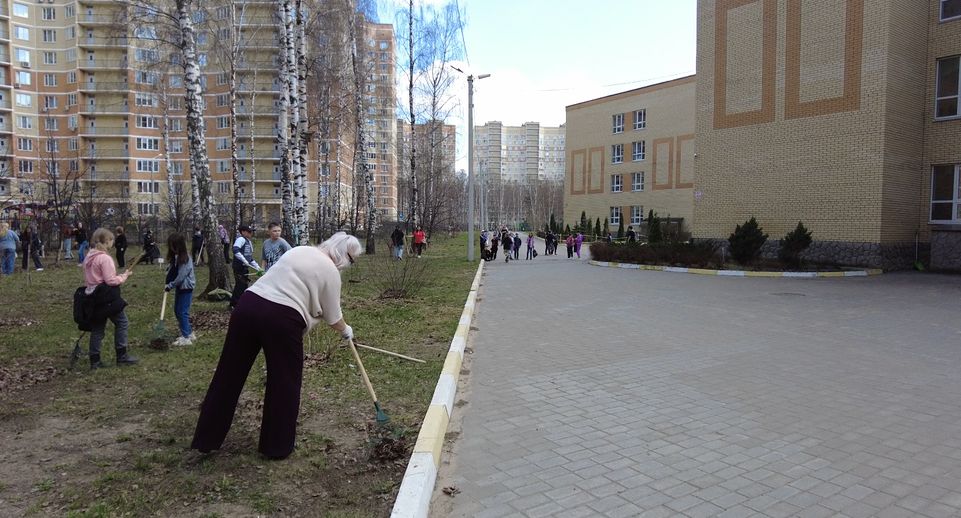 Раменские школьники и педагоги навели порядок на территории