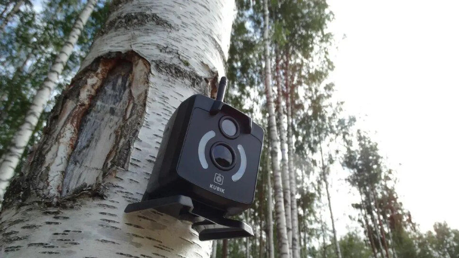 Фотоловушка Купить В Беларуси Для Дачи