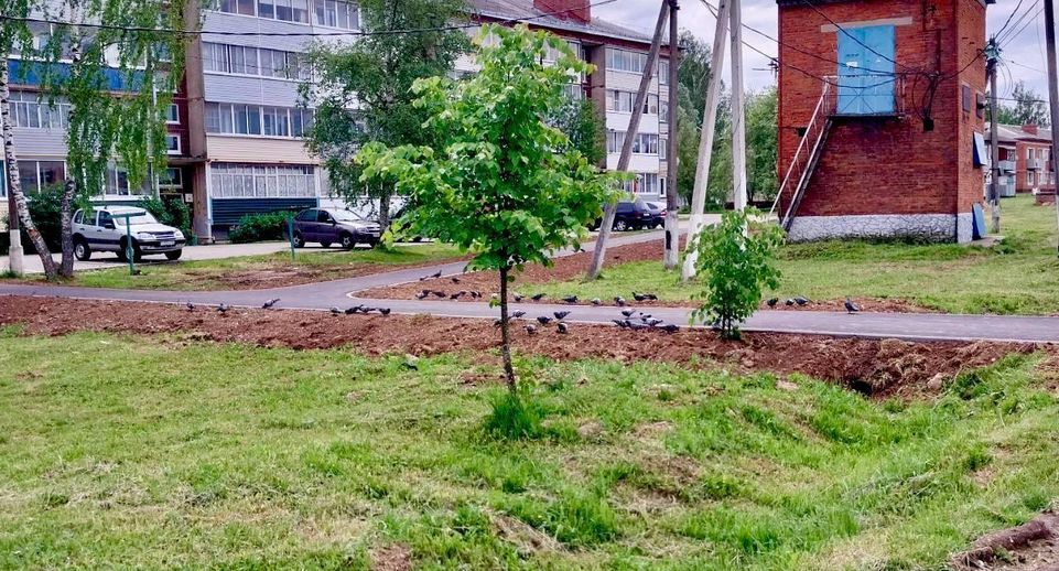 В Шаховской завершено обустройство трех «народных троп»
