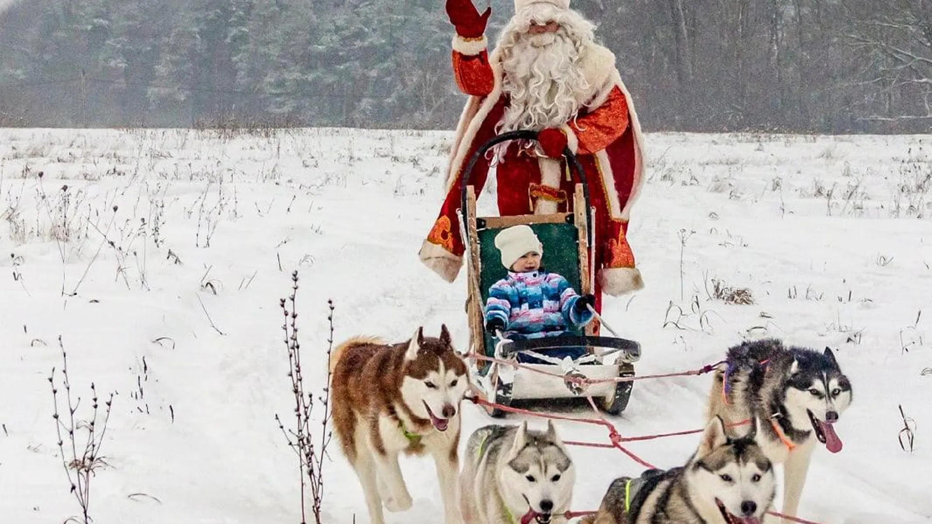 группа спортклуба «Стая снежных псов» в соцсети ВКонтакте