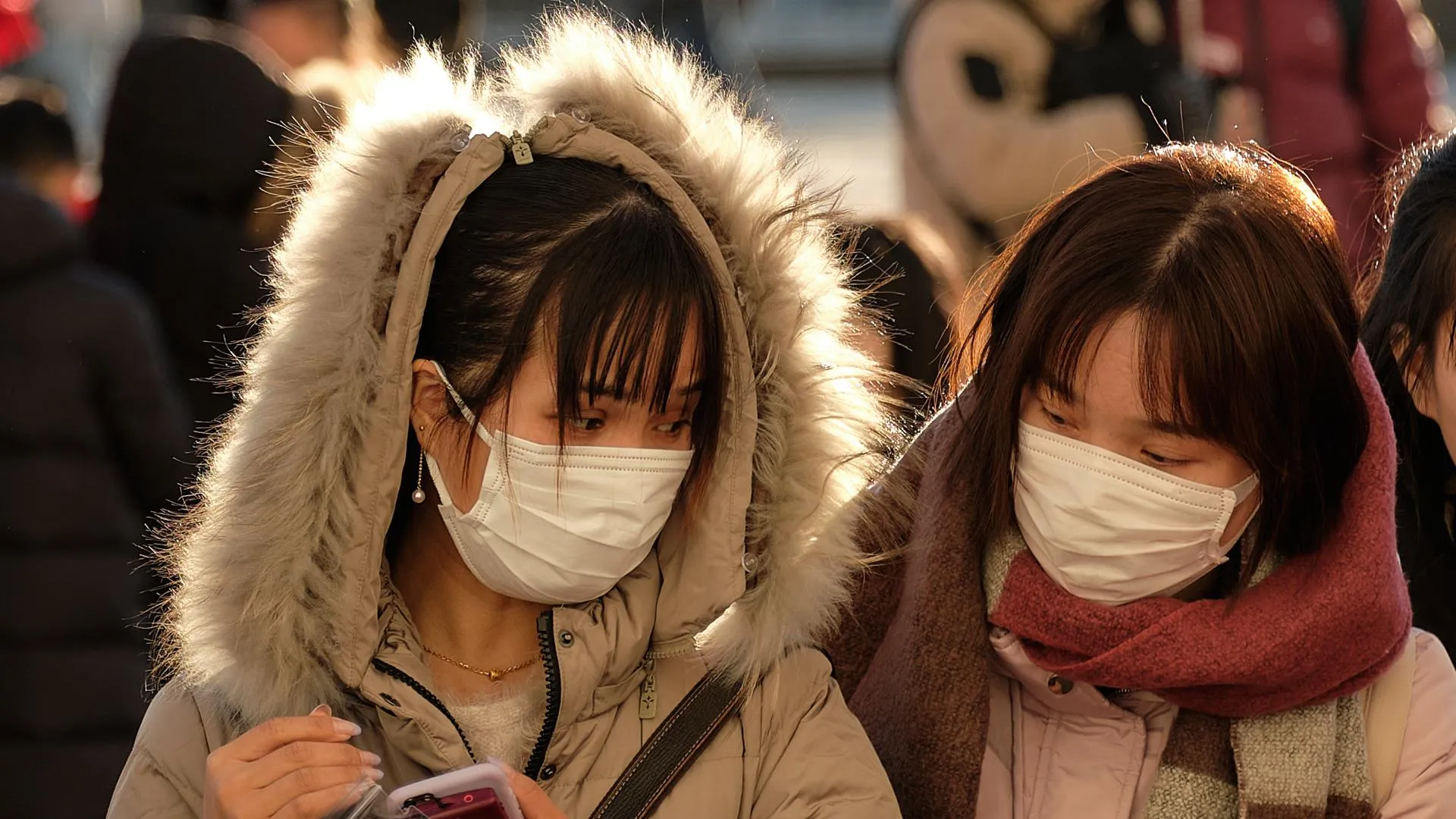 «Заразные» посылки из Китая и другие мифы о коронавирусе