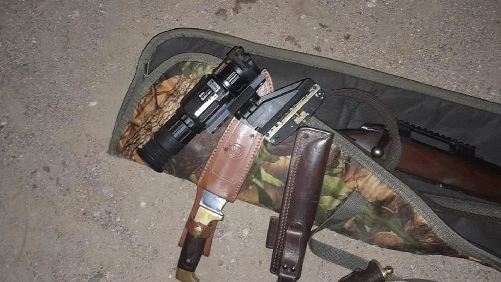 Браконьер из Домодедова заплатит 240 тыс рублей за застреленного лося