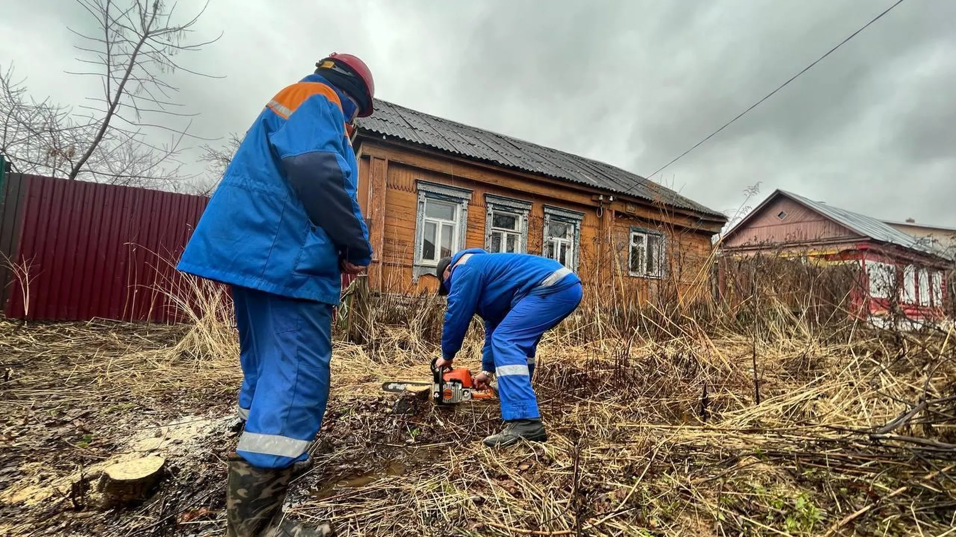 Энергетики Подмосковья расчистили от древесно‑кустарниковой растительности  ЛЭП в Кашире | РИАМО