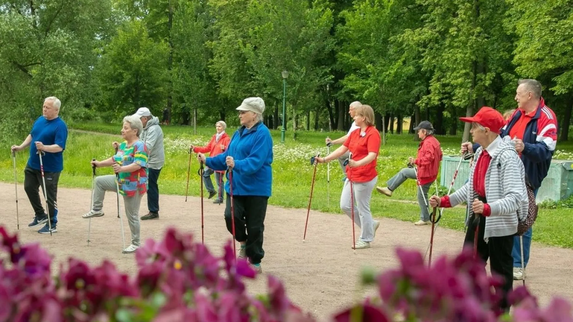 Пенсионеры на экскурсии. Долголетие в подмосковье для пенсионеров. Туризм для пожилых людей. Туризм в пожилом возрасте. Туризм для пенсионеров.