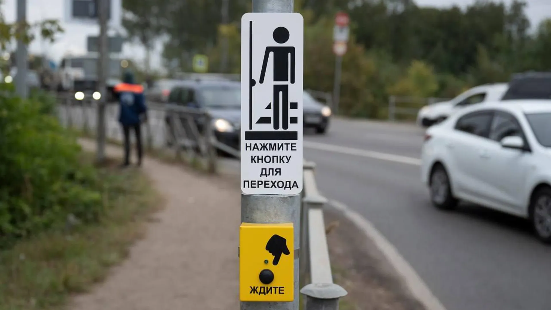 180 светофоров оснастили кнопками вызова пешехода в Подмосковье с начала года