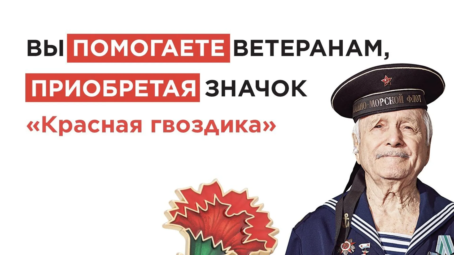 Все желающие могут помочь ветеранам боевых действий РФ в рамках акции «Красная гвоздика»