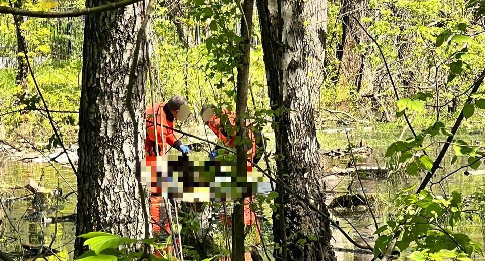 Школьница, тело которой нашли в парке Москвы, состояла на учете в психдиспансере