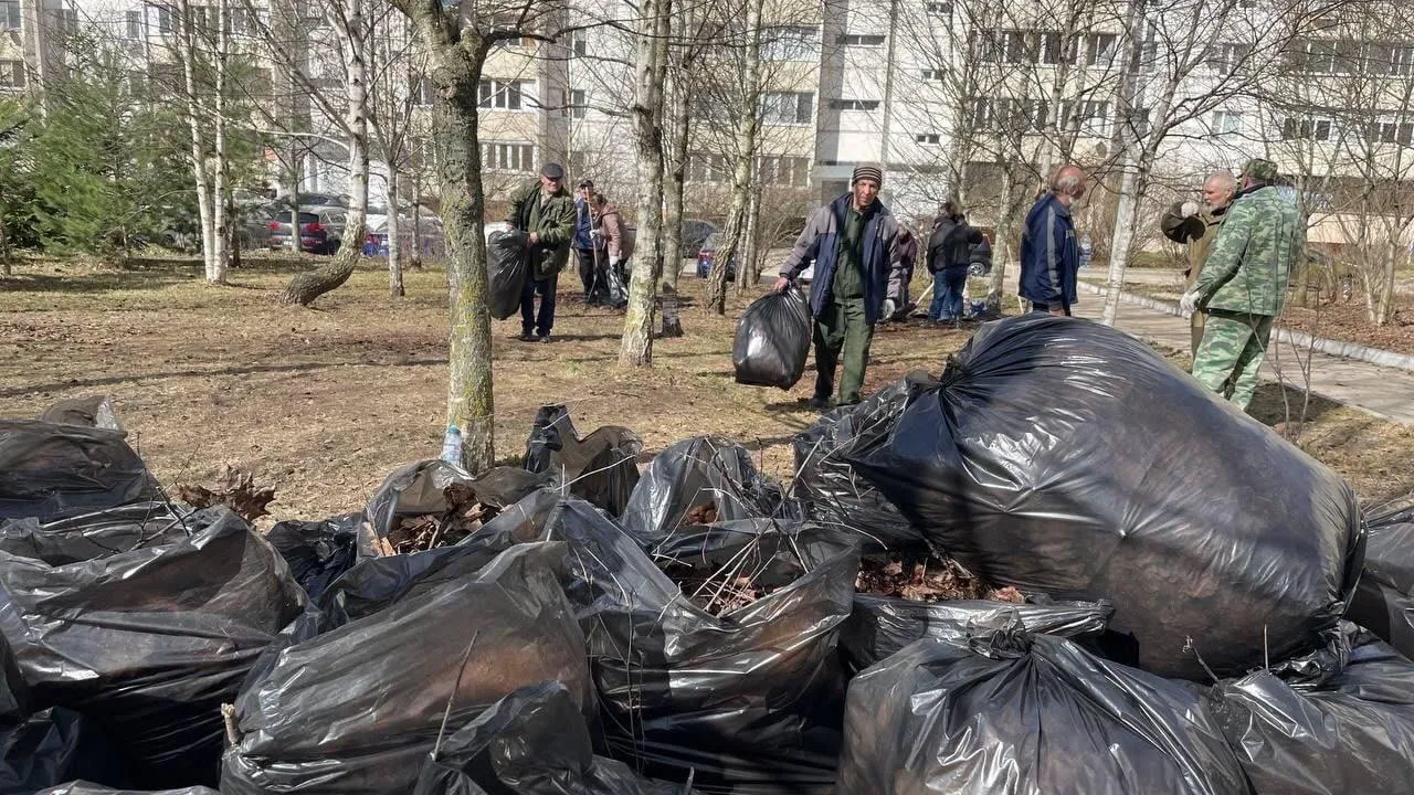 В Мытищах с 1 апреля стартует месячник благоустройства