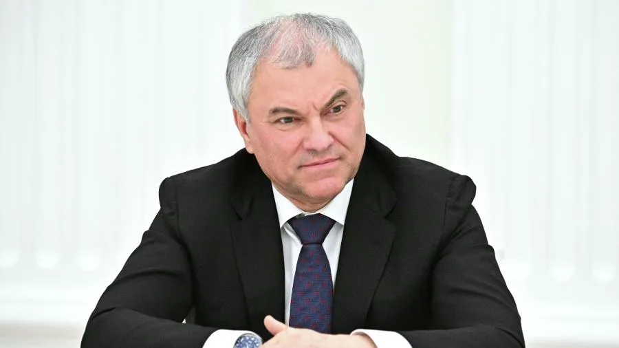 Председатель Государственной Думы РФ Вячеслав Володин
