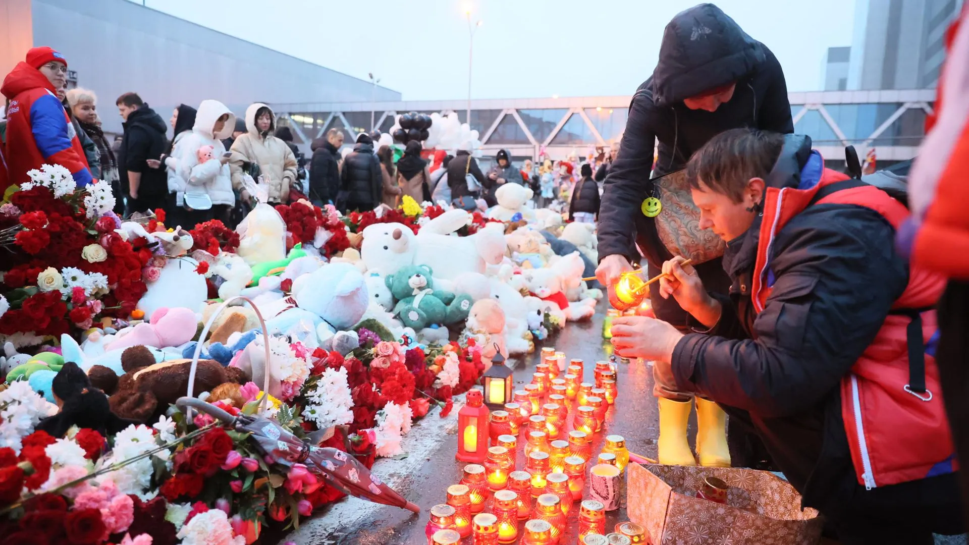 Россиянам рассказали, как помочь пострадавшим в теракте в «Крокусе»