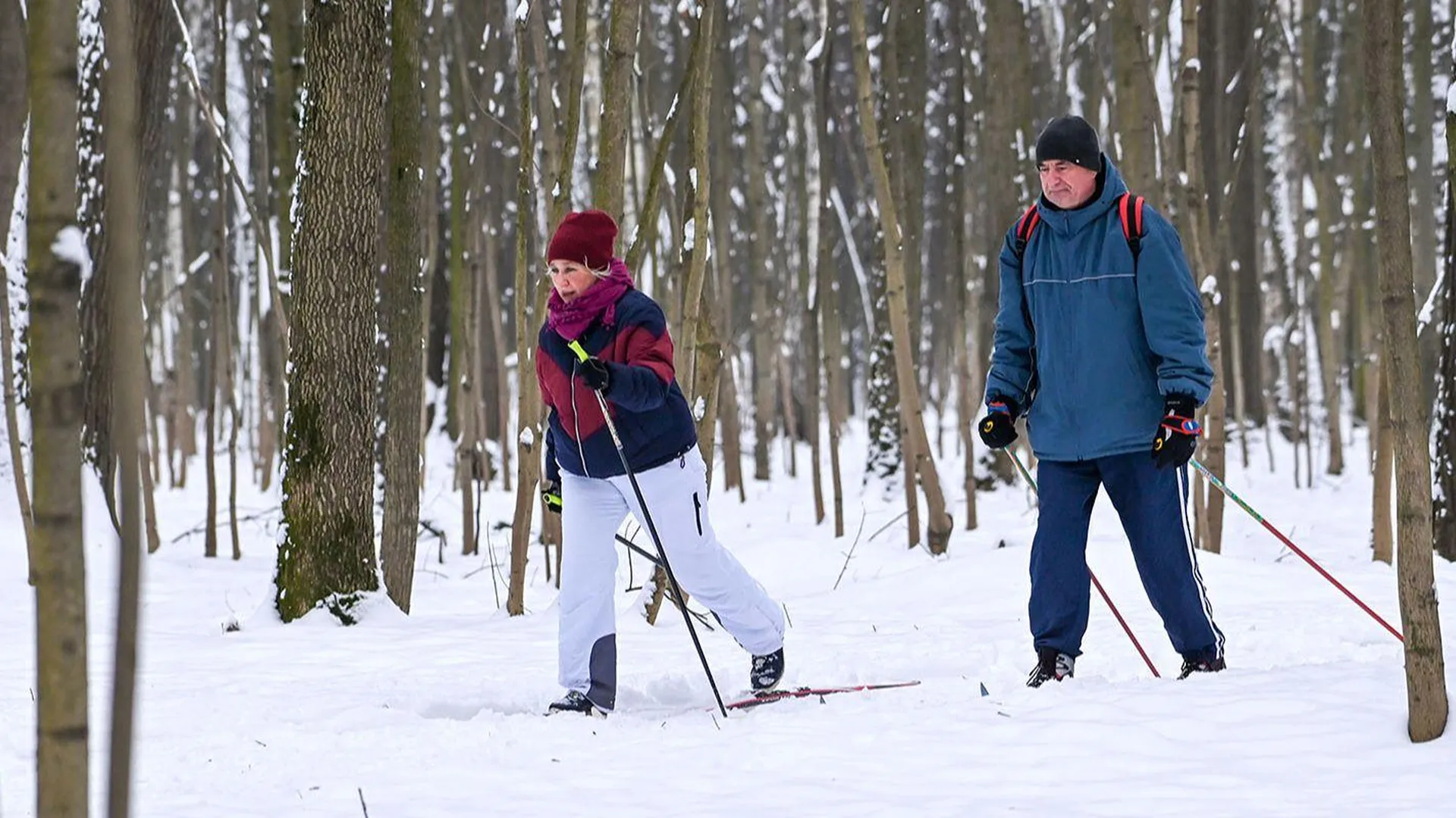 В парке «Останкино» на ВДНХ открылась бесплатная лыжная трасса