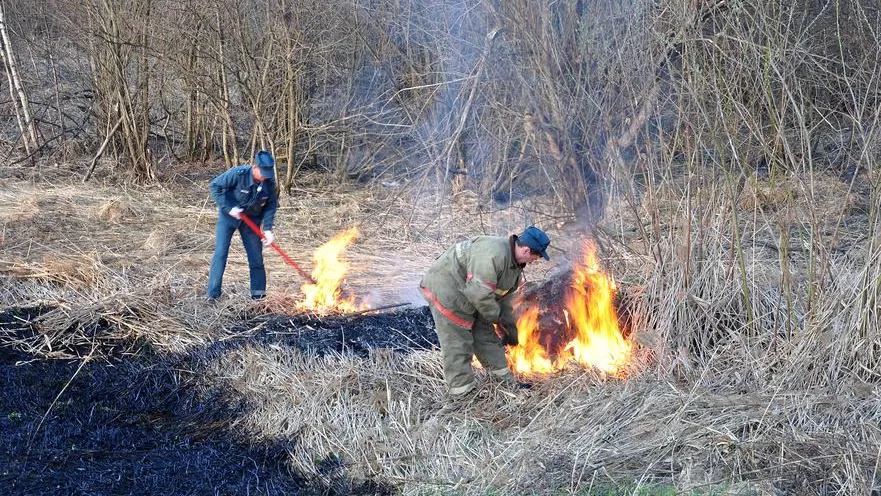 В Дагестане потушили открытое горение ландшафтного пожара