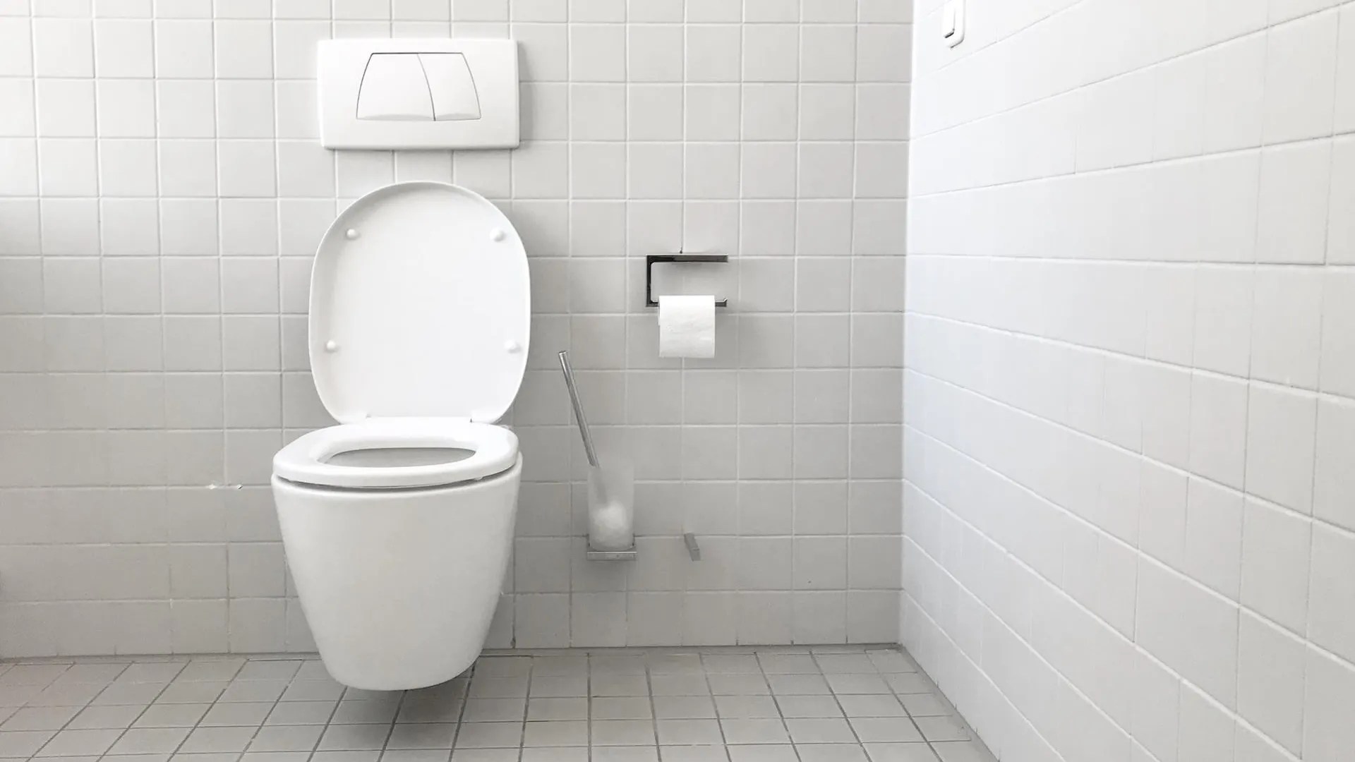 Иммунолог рассказал, чем можно заразиться в общественном туалете