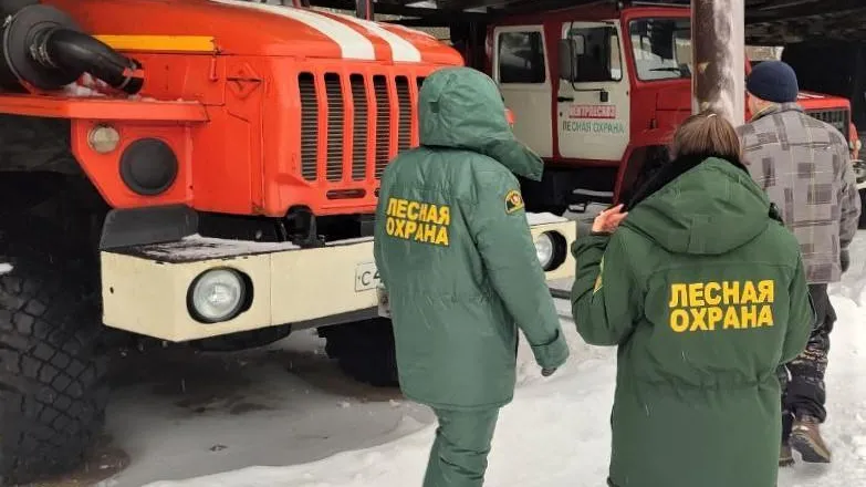 В Подмосковье начались проверки готовности к пожароопасному сезону