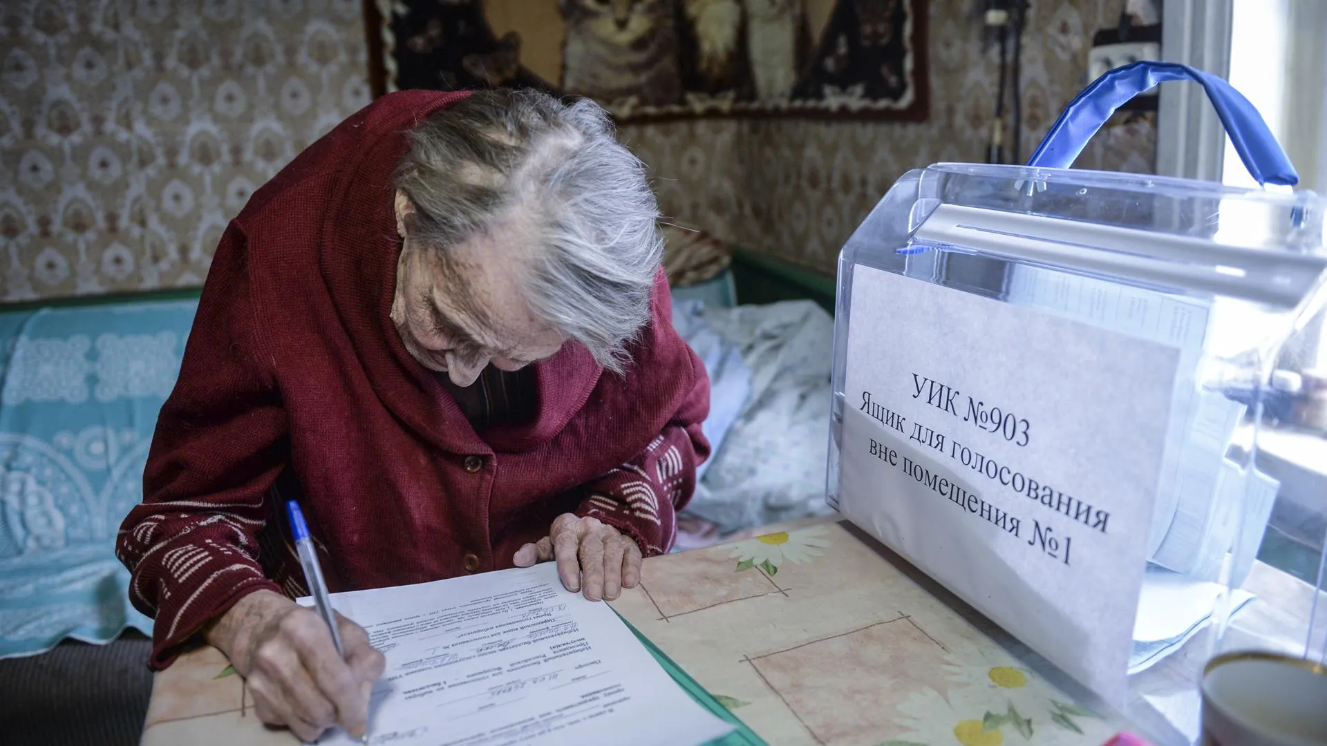 Как проголосовать на дому на выборах губернатора Подмосковья