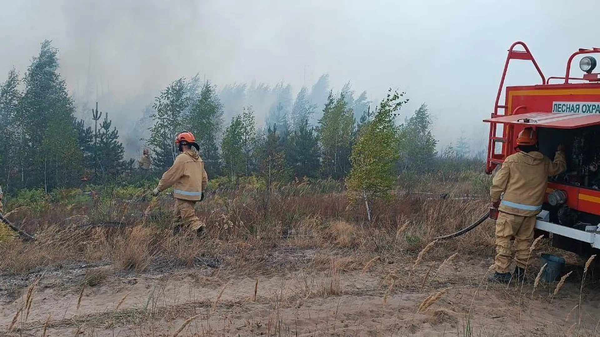 Группировка лесопожарных формирований Подмосковья вернулась из Рязанской области