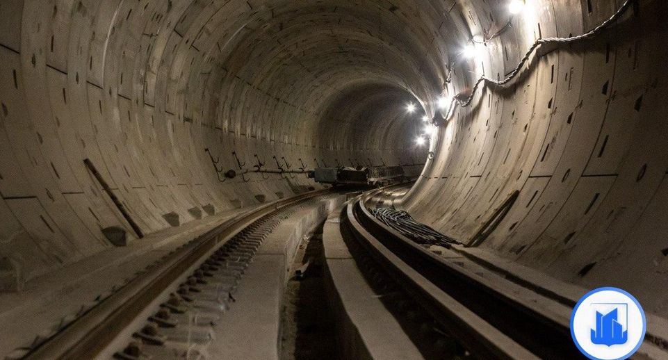 Загрутдинов: в эскалаторном тоннеле вестибюля станции БКЛ «Рижская» ставят кольца