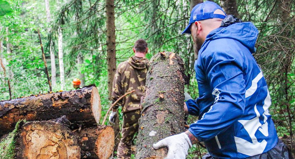 Шаховская и Подольск присоединились к экологической акции «ЕР» «Чистый Лес»