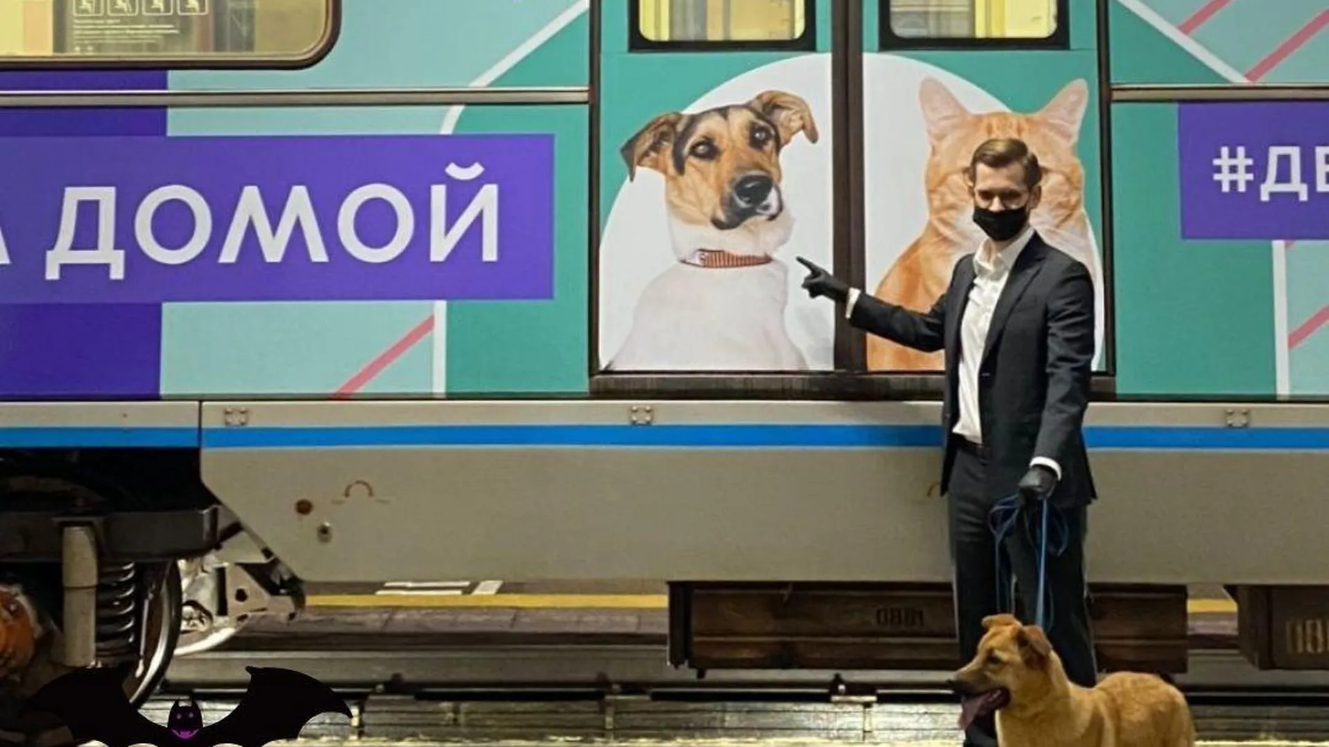 Фотографии подопечных центра бездомных животных «Юна» Подольска украсили  поезд метро | РИАМО