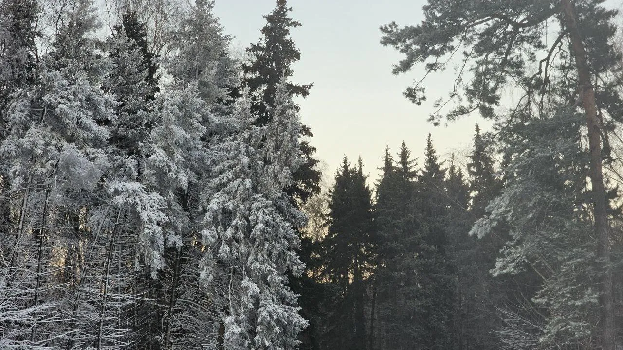 Охранную зону памятника природы в Луховицах поставили на кадастровый учет