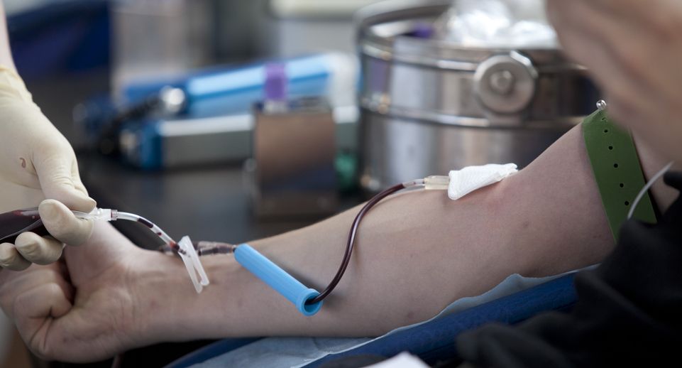 Почти 45 тыс пациентам перелили кровь в 2023 г благодаря донорам Подмосковья