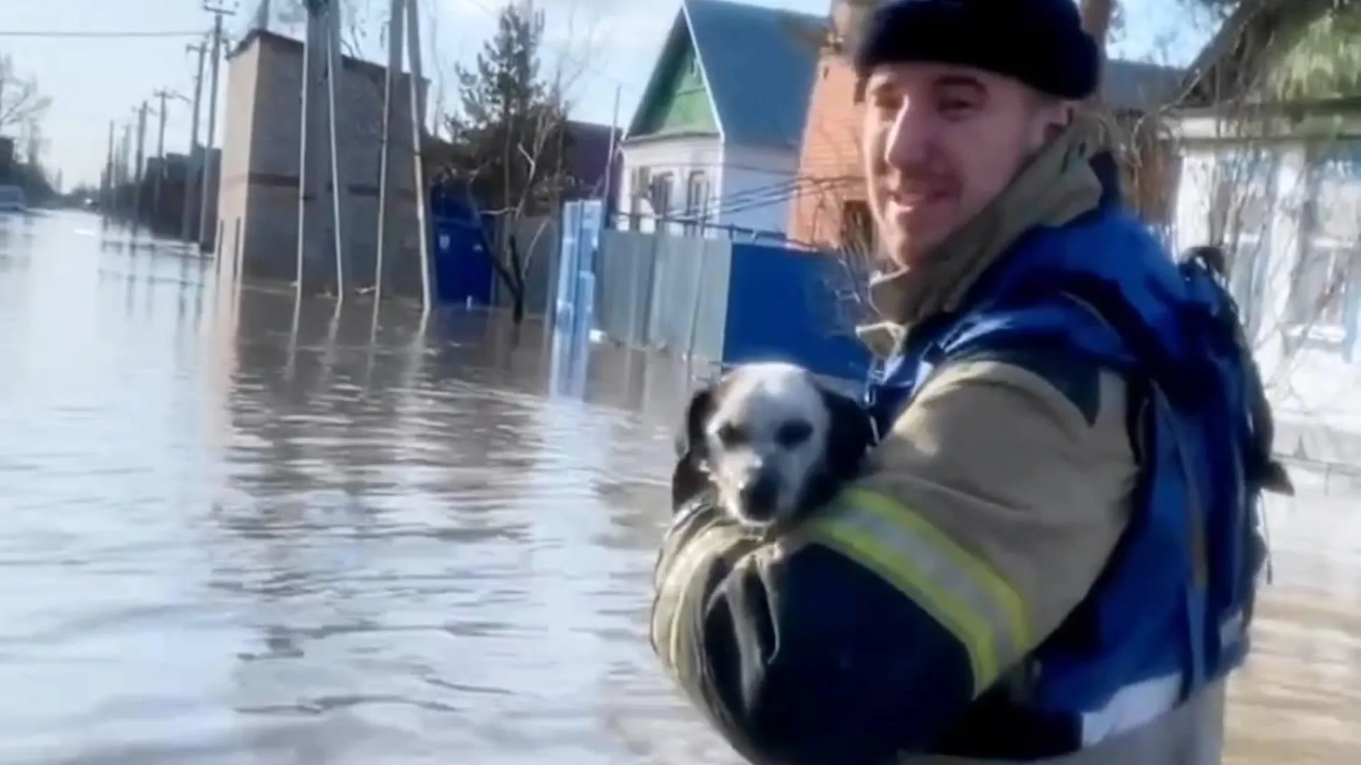 В затопленном микрорайоне в Орске спасли жизни домашних животных. ВИДЕО
