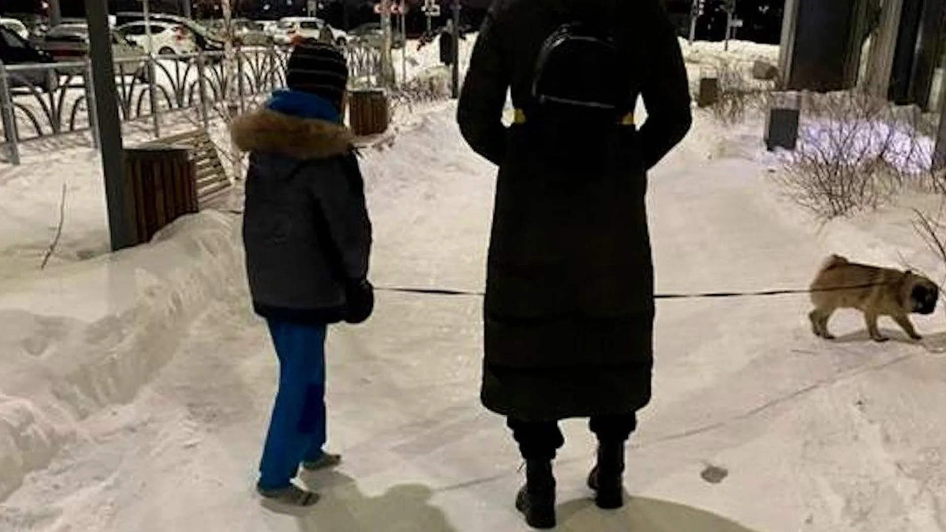 Жительница Екатеринбурга заставила ребенка выгуливать собаку без обуви в мороз