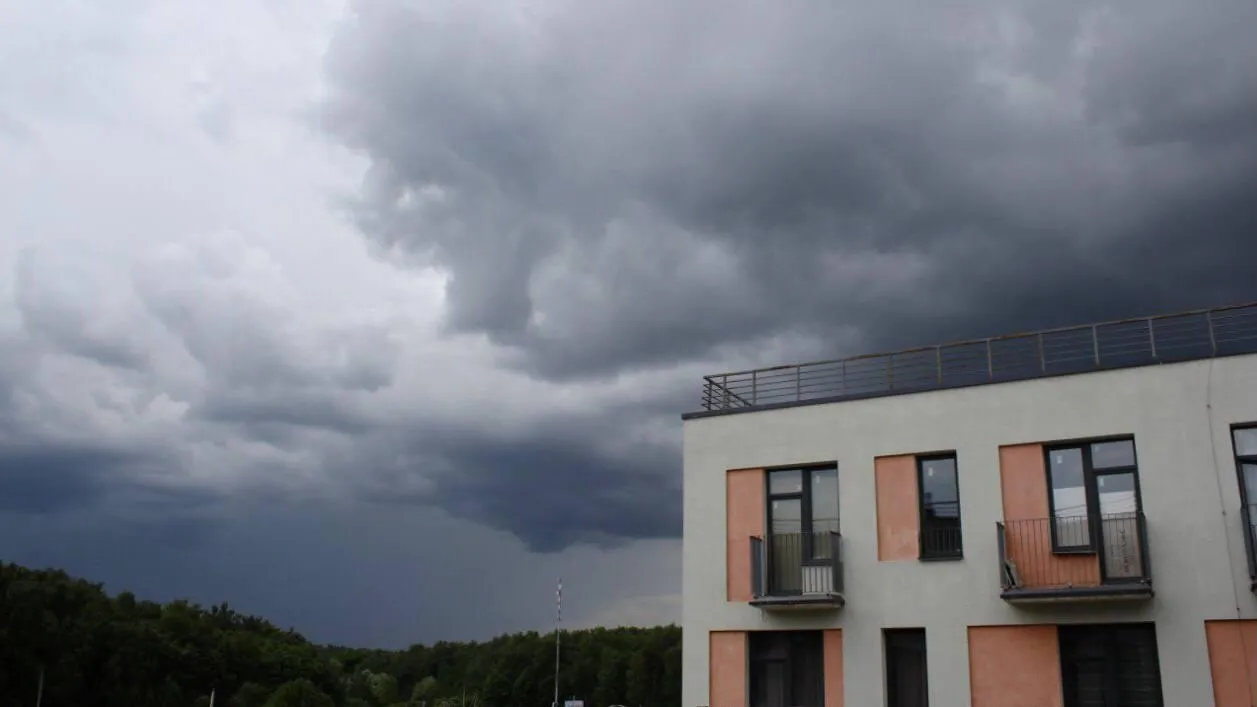 «Желтый» уровень опасности из‑за дождя объявили в Подмосковье