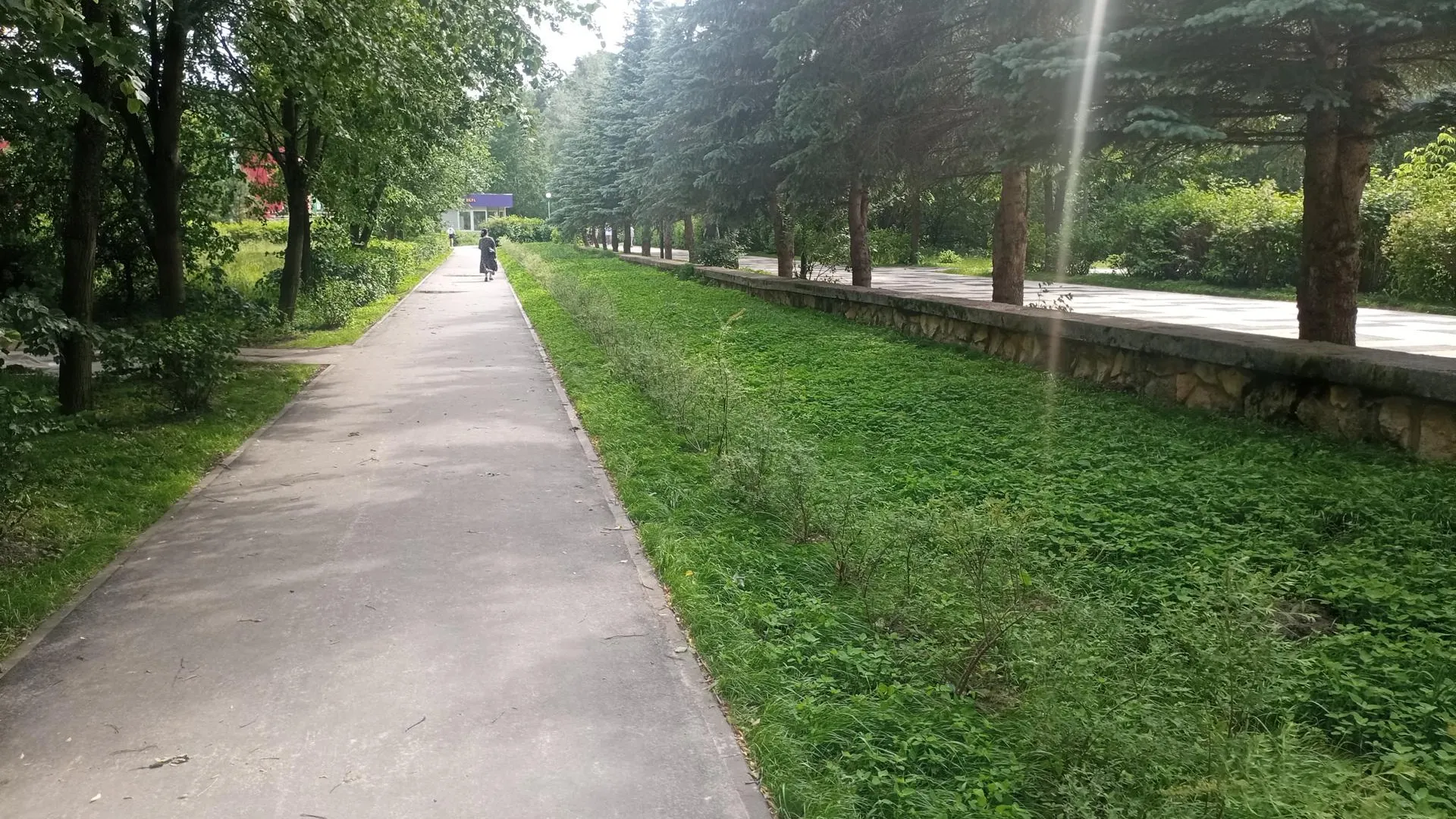 Работы по благоустройству леса у ТЦ «Слава» завершились в Протвине