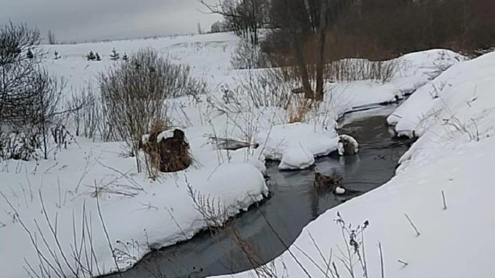 Ритейлер «Ашан» в Домодедове предостерегли от незаконного сброса сточных вод в ручей