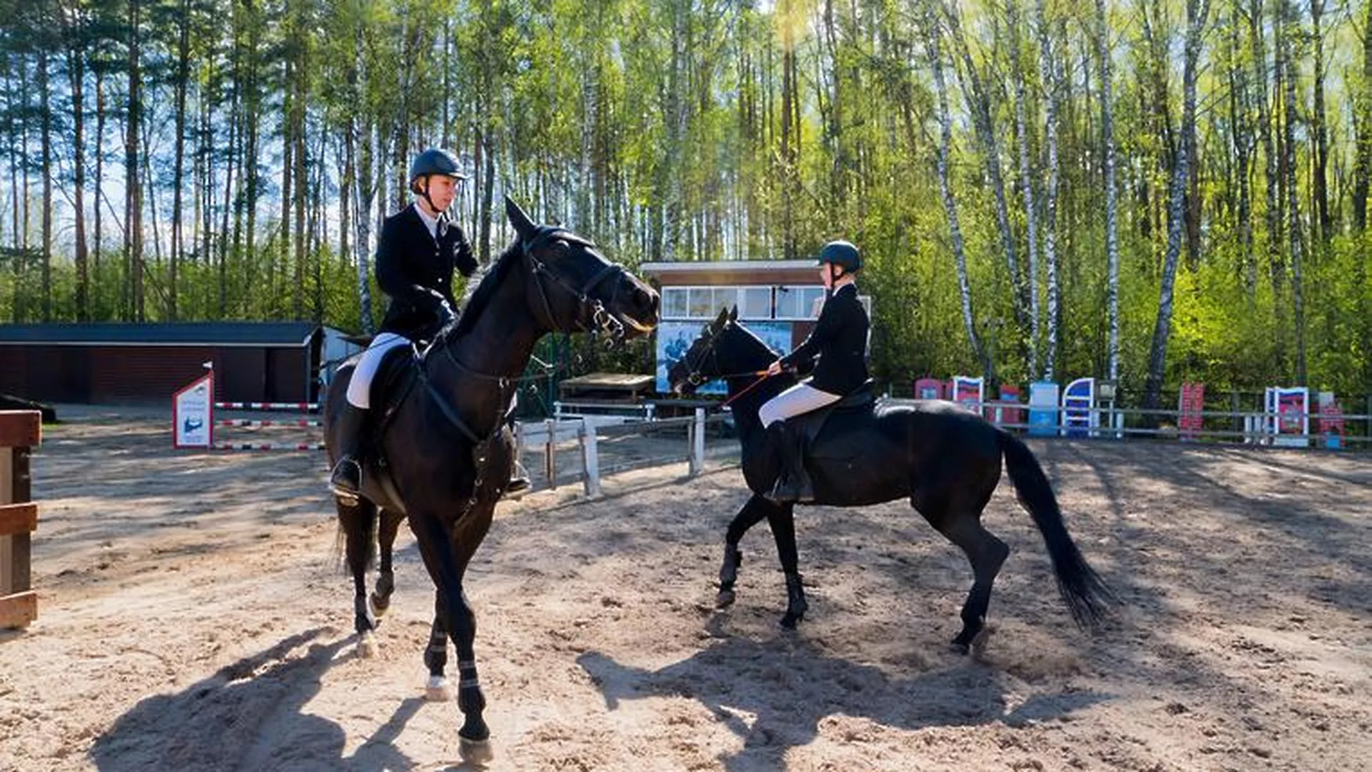 На ВДНХ откроется летний сезон Центра национальных конных традиций