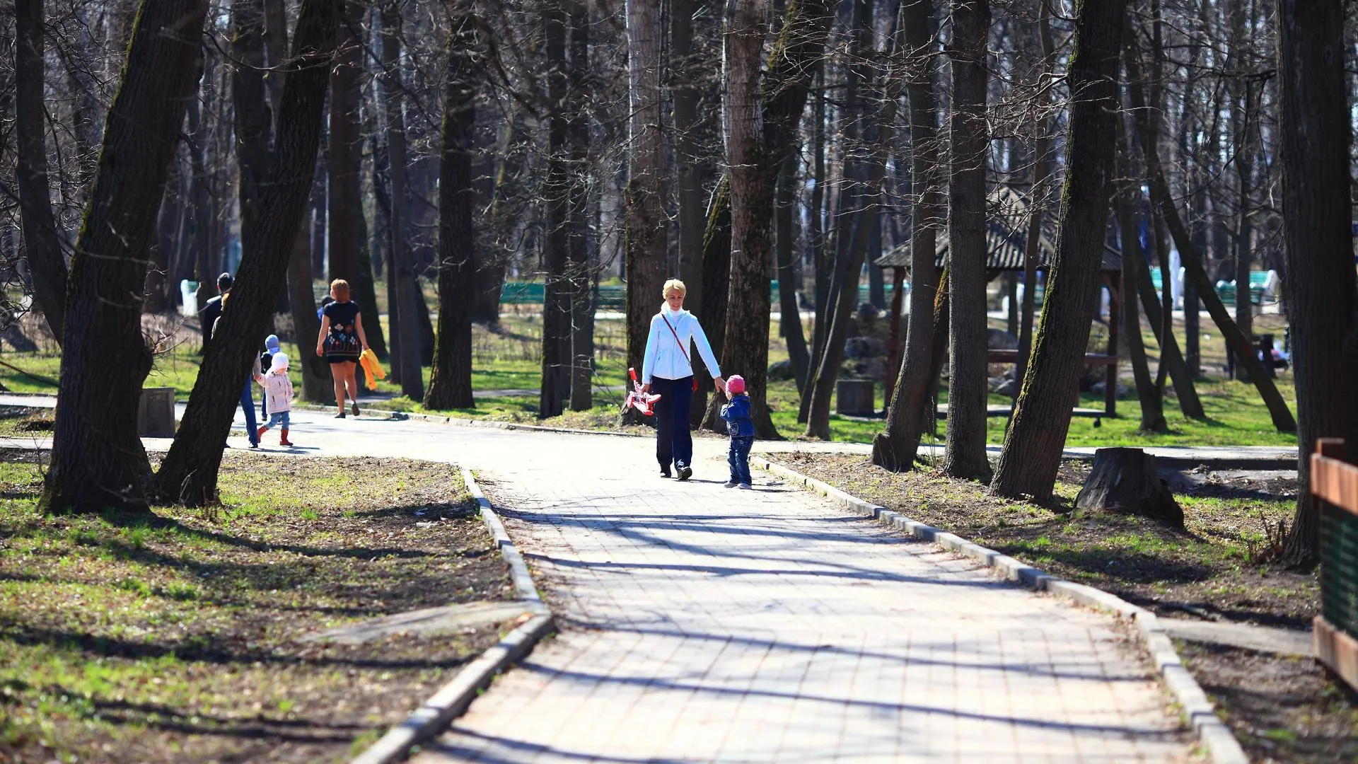 В Сергиево-Посадском округе проведут работы по содержанию дворовых территорий