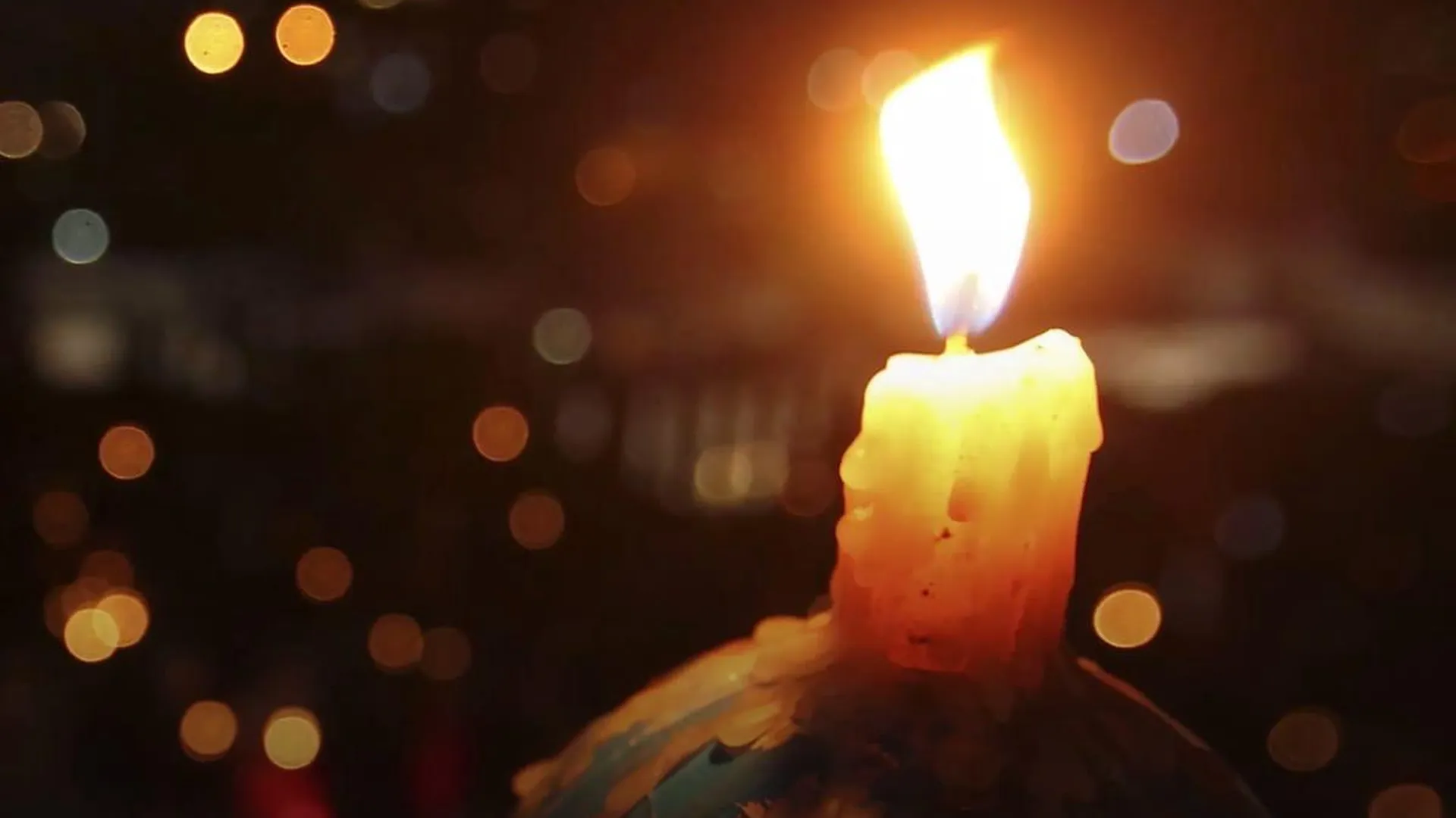 Домодедово присоединится к акции «Час Земли» 26 марта