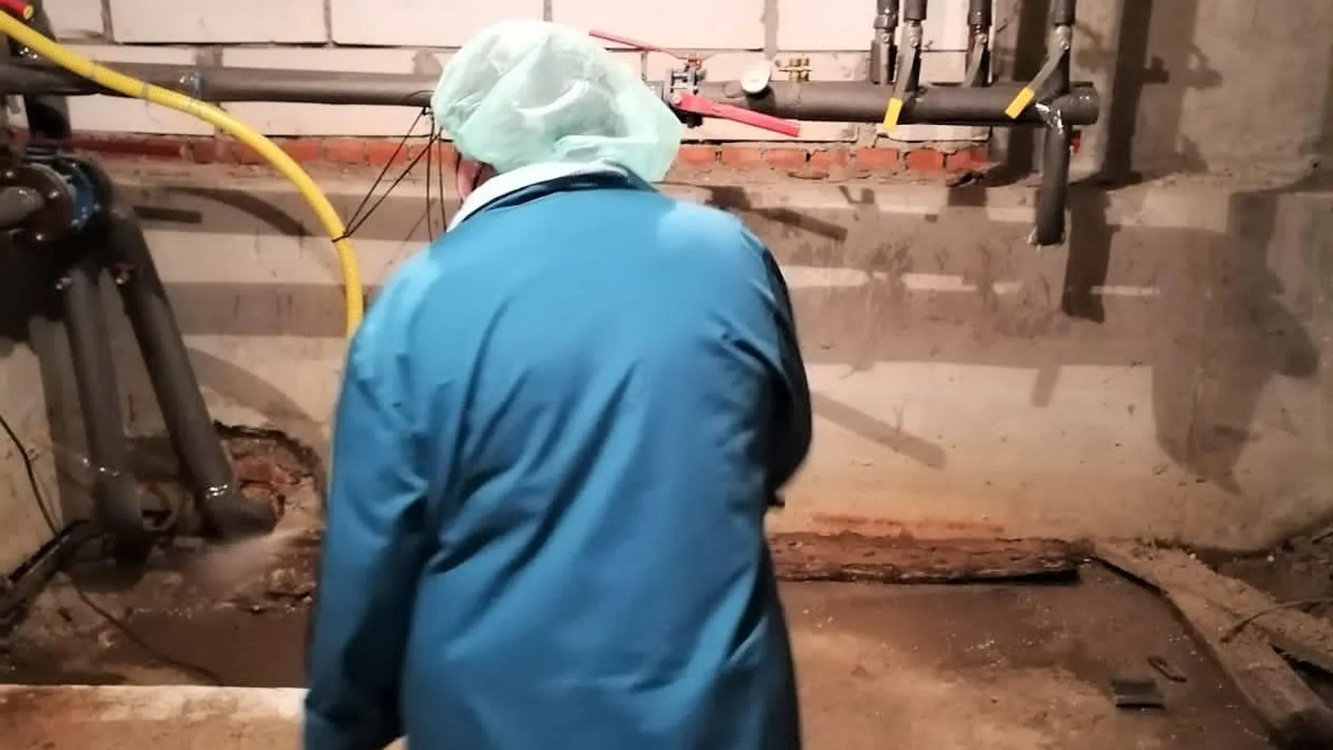 Госжилинспекторы проверили работы по истреблению тараканов в доме пос Шатурторф в Шатуре