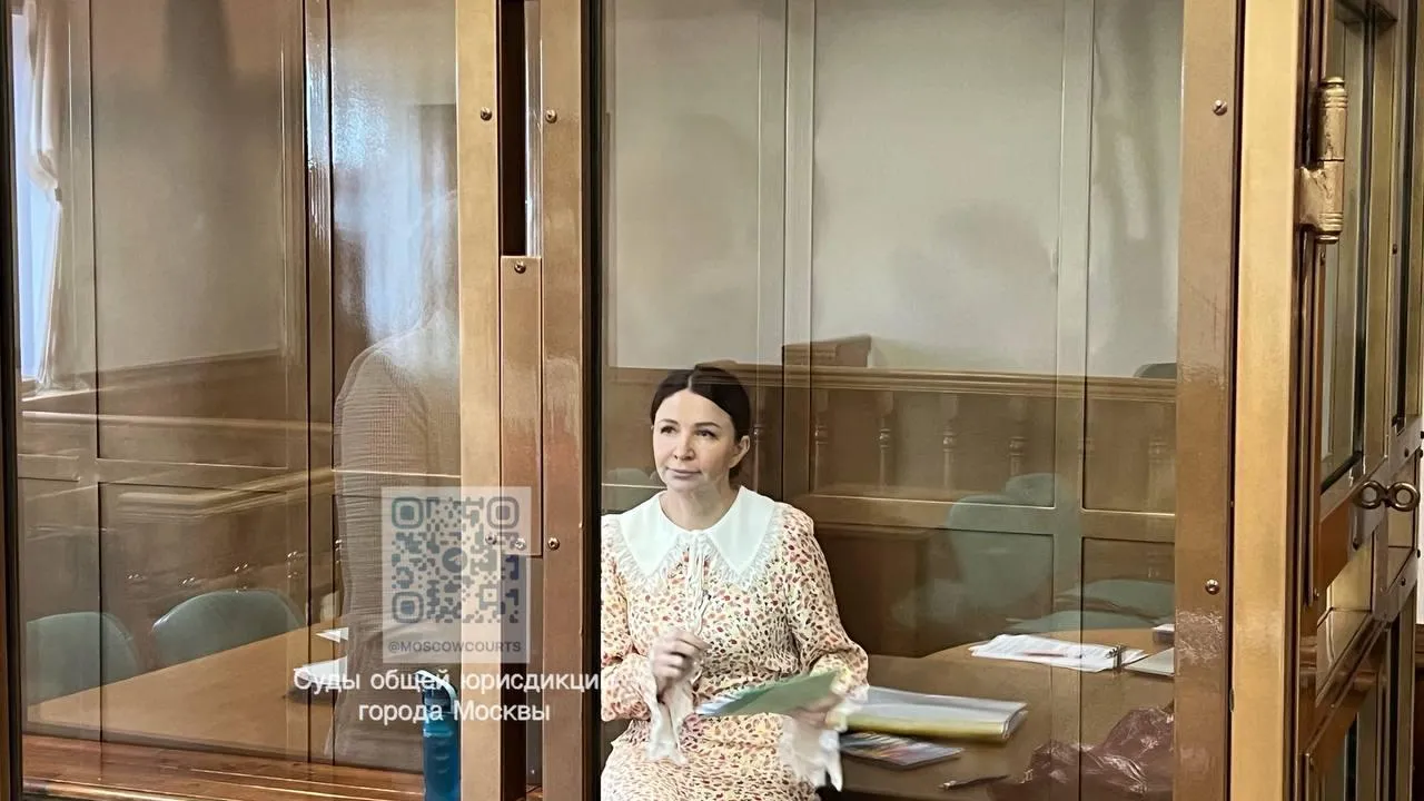 Елена Блиновская признала вину в неуплате налогов и отмывании денег