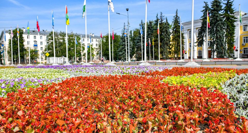 Более 100 тыс цветов высадили на центральных клумбах в Химках