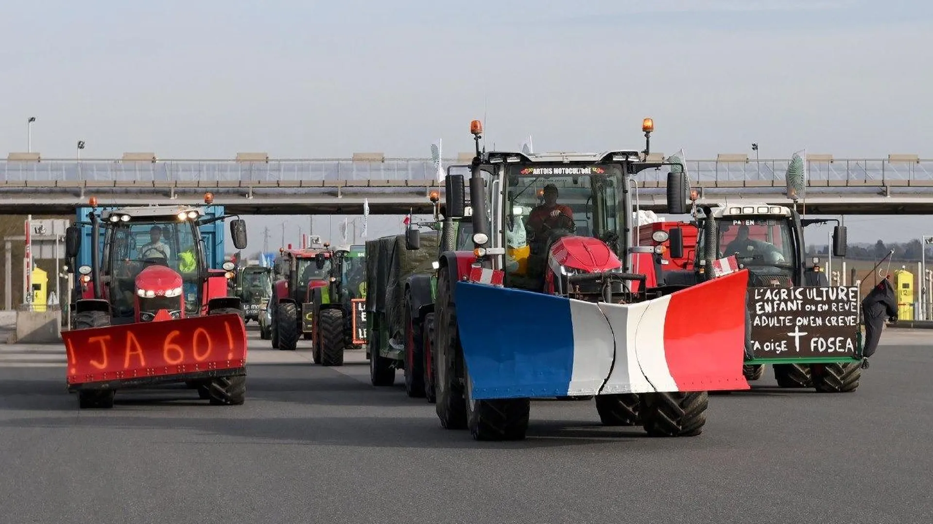 Протесты фермеров в Европе: в чем причины и к чему могут привести