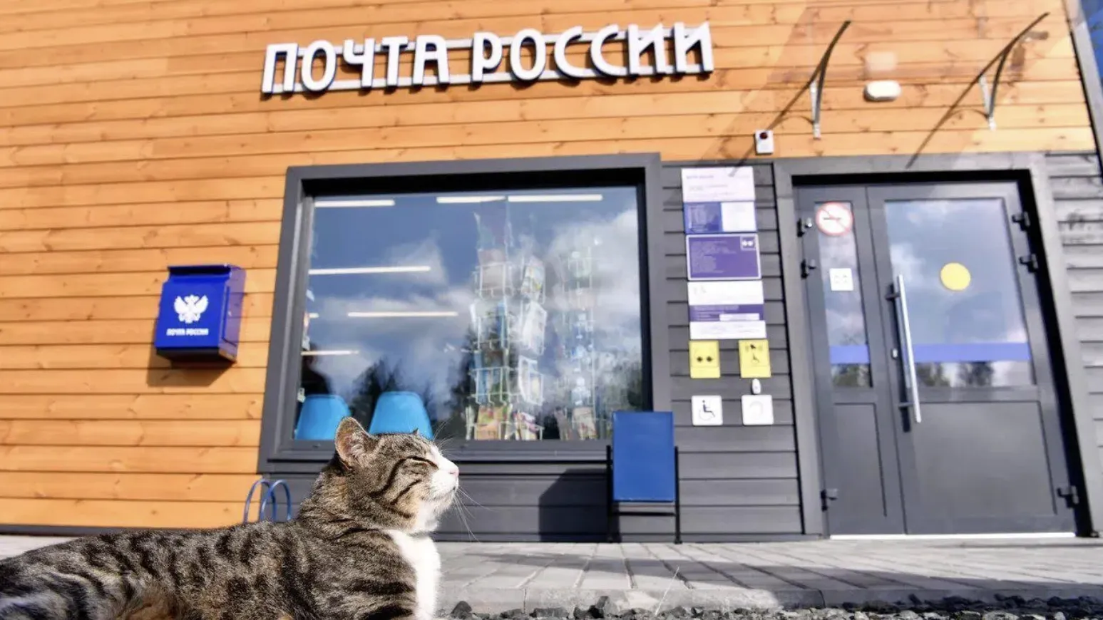 Свыше чем в 600 отделениях «Почты России» Подмосковья есть «Витрина здоровья»