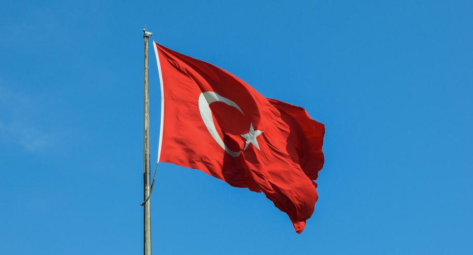 InfoBRICS: Турция стремится в БРИКС из-за идеи многополярного мира